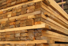 木材平衡窑、木材养生房建设方案与规划设计